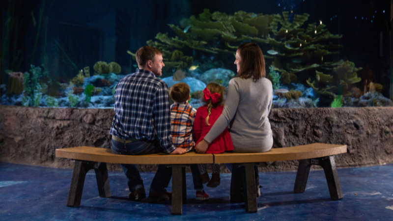Family at Living Shores Aquarium