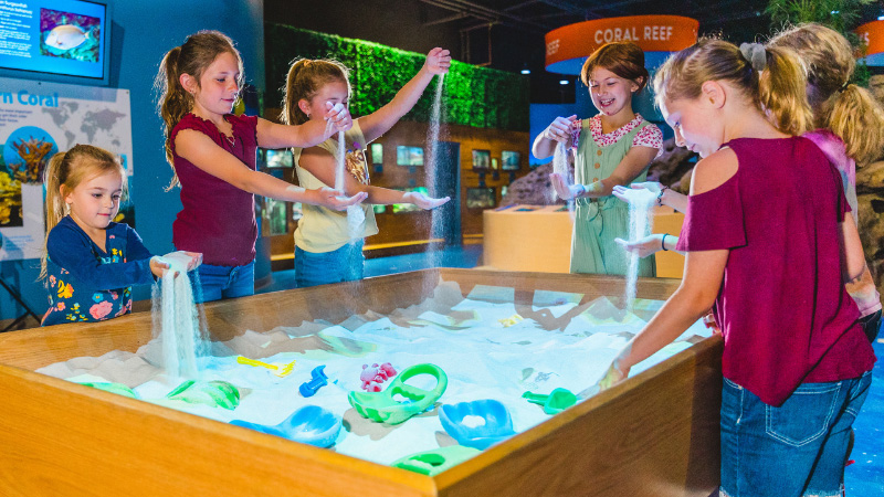 Group of kids at Living Shores Aquarium